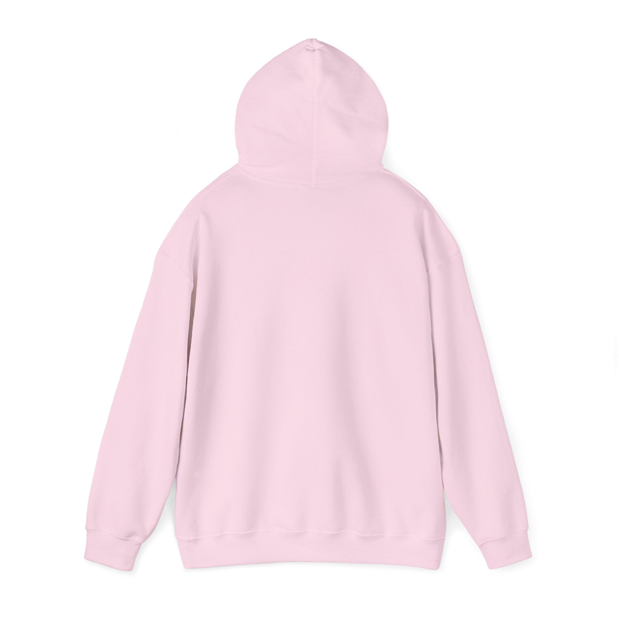 Pink Block Abstraction Gloomy Bear Hoodie