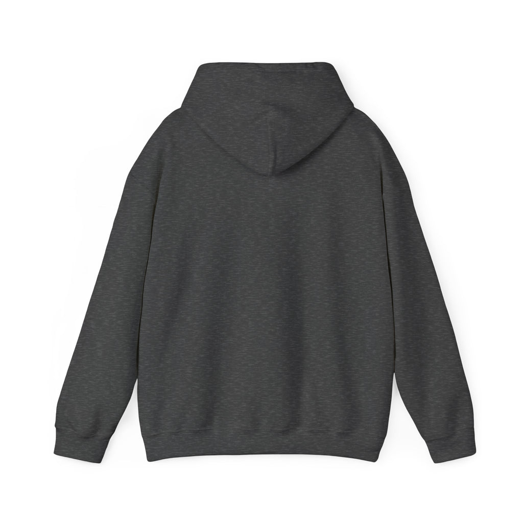 Pluto Hoodie